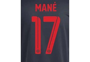 Mane # 17 Bayern Munich 22/23 Third Nameset - Red