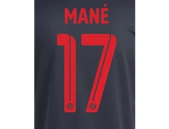 Mane # 17 Bayern Munich 22/23 Third Nameset - Red