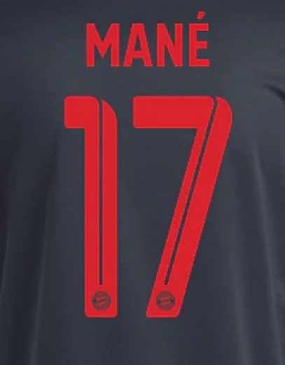 Authentic MANÉ #17 Bayern Munich Away Soccer Jersey 2022/23