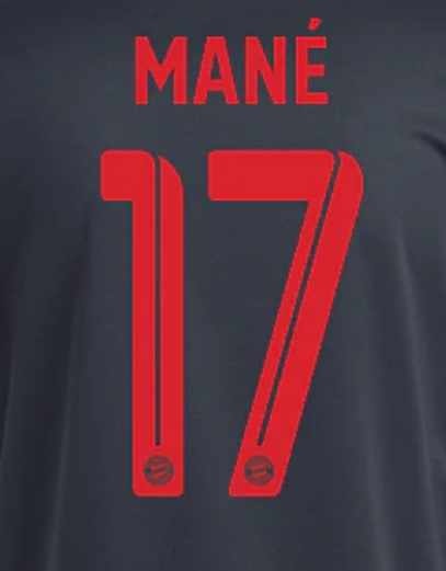 Mane # 17 Bayern Munich 22/23 Third Nameset - Red