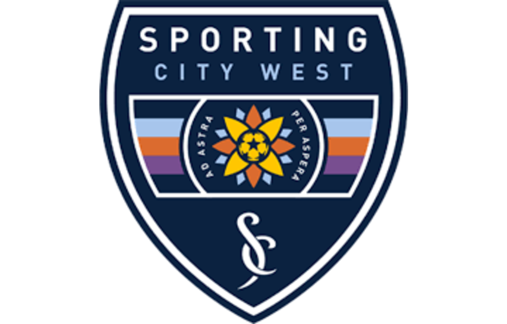 Local Clubs Official Authentic Crest / Sleeve Badges