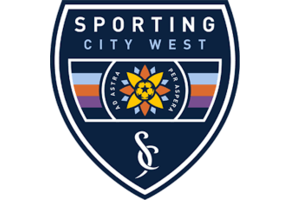 Local Clubs  Official Authentic Crest / Sleeve Badges
