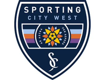 Local Clubs  Official Authentic Crest / Sleeve Badges