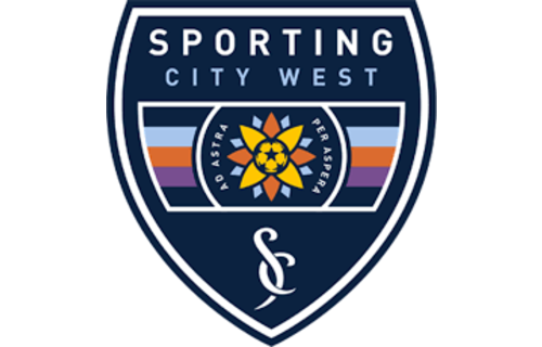 Local Clubs  Official Authentic Crest / Sleeve Badges