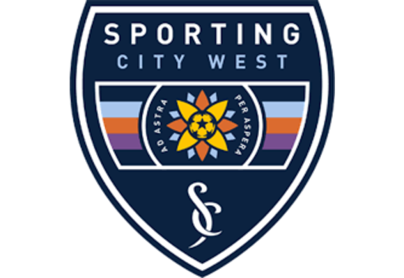 Local Clubs Official Authentic Crest / Sleeve Badges