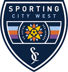 Local Clubs  Official Authentic Crest / Sleeve Badges