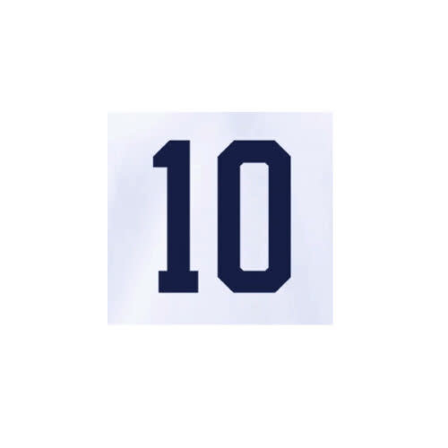 Pulisic # 10 USA United States  WC 2022 Home Nameset