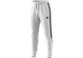 adidas Tiro 23 League Training Pants - White/Black