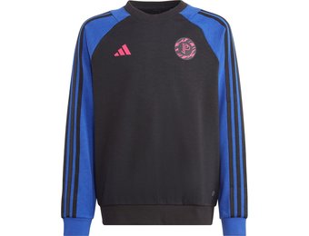 adidas 2023 Pogba Youth Crewneck Sweater - Lucid Blue/Black