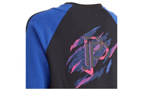 adidas 2023 Pogba Youth Crewneck Sweater - Lucid Blue/Black
