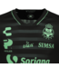Charly Charly Santos Laguna 2023-24 Away Jersey - Black/Green