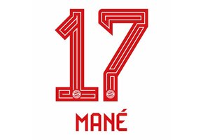 Mane # 17 Bayern Munich 23/24 Home Nameset / Red