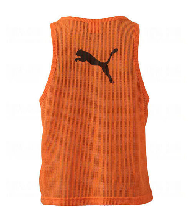 Puma Puma DryCell Scimmele Soccer Training Bib Vest Running