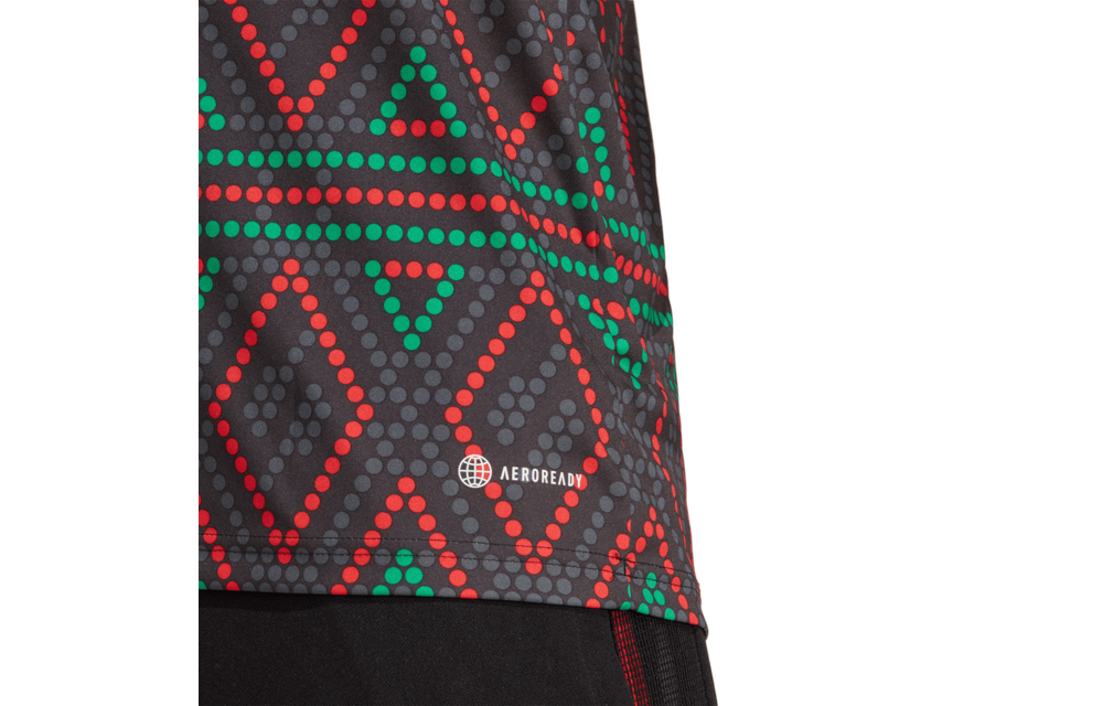 adidas Ajax Amsterdam 2022 - 23 Prematch Training Jersey- Multi Color