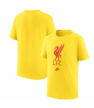 Nike Nike Youth Liverpool 2022-23 Futura Crest Tee Shirt - Chrome Yellow/Rush Red