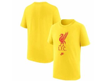 Nike Youth Liverpool 2022-23 Futura Crest Tee Shirt - Chrome Yellow/Rush Red