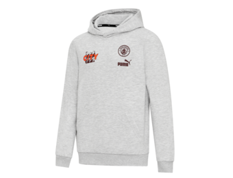 Puma Manchester City 2023 - 24  ftbl Core Hoodie - Grey/Maroon