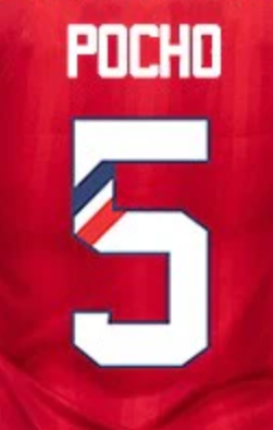 Pocho # 5  Chivas DG 23/24 Home  Nameset