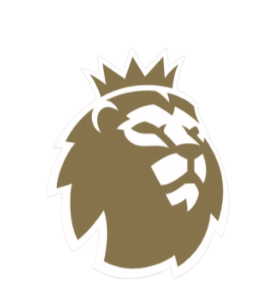 EPL English Premier League 23/26 Official Authentic Sleeve Patch - Adult Size