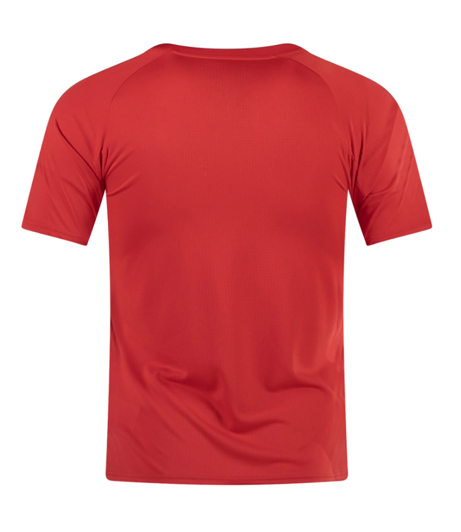 Puma Puma Chivas 2023 - 24  Prematch Soccer Jersey - Red/Navy