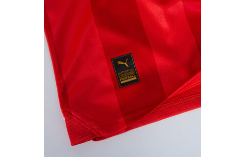 Puma PSV Eindhoven 2023 -24 Home Jersey - Red/White