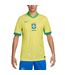 Nike Nike Brazil Copa America 2024 - 25 Home Jersey - Dynamic Yellow/Lemon Chiffon/Green Spark