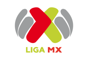 Liga MX 2024 Official Nameset ( Name and Number Set)