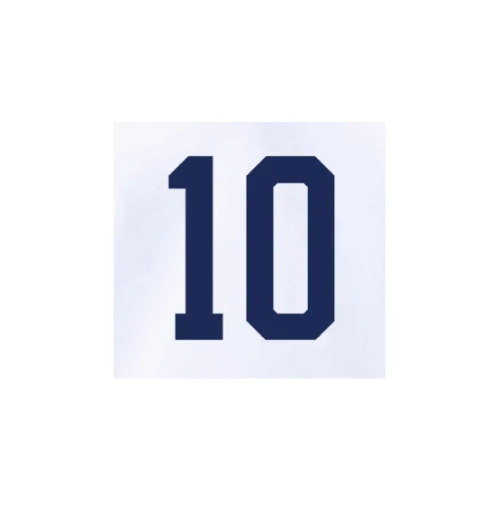 Copa America 2024 Official Nameset ( Name and Number Set)