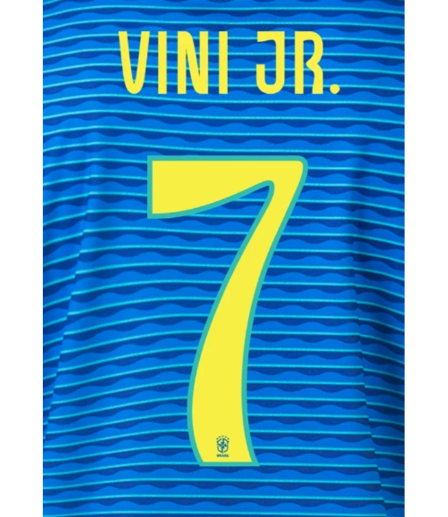 Uni-Sport Copa America 2024 Official Nameset ( Name and Number Set)