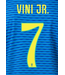 Uni-Sport Copa America 2024 Official Nameset ( Name and Number Set)