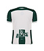 Charly Charly Santos Laguna 2024-25 Youth Home Jersey - Green/White