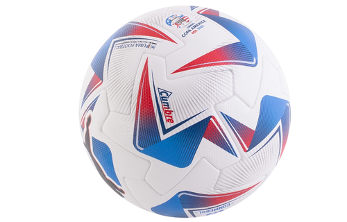 Puma Cumbre Conmebol Copa América 2024 FiFA Quality Pro Official Match Ball23/24 Fifa Quality PRO Match Ball - White/Multi