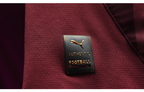 Puma Manchester City 2024 -25 Authentic Third Jersey - Light Blue/Marine Blue