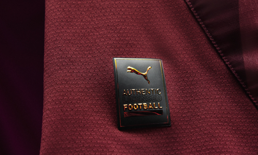 Puma Manchester City 2024 -25 Authentic Third Jersey - Light Blue/Marine Blue