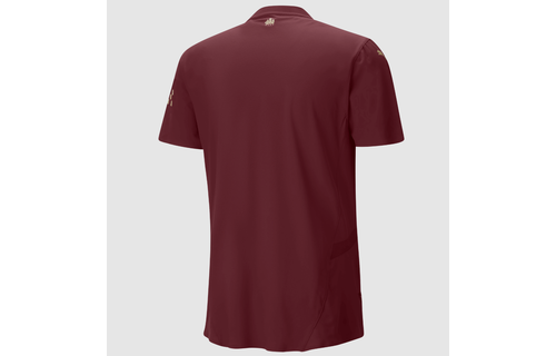 Puma Manchester City 2024 -25 Authentic Third Jersey - Light Blue/Marine Blue