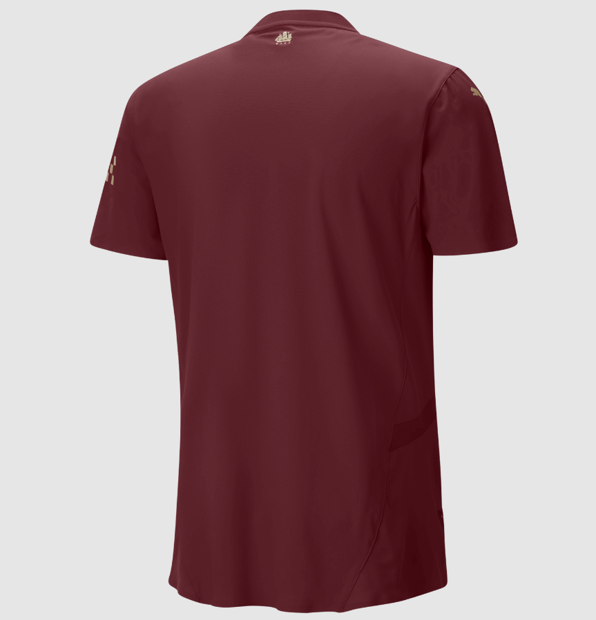 Puma Manchester City 2024 -25 Authentic Third Jersey - Light Blue/Marine Blue