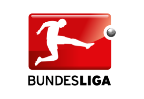 Bundesliga 2024 Official Nameset ( Name and Number Set)