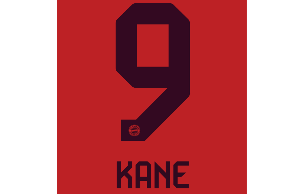 Bundesliga 2024 Official Nameset ( Name and Number Set)