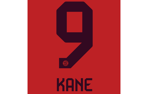 Bundesliga 2024 Official Nameset ( Name and Number Set)