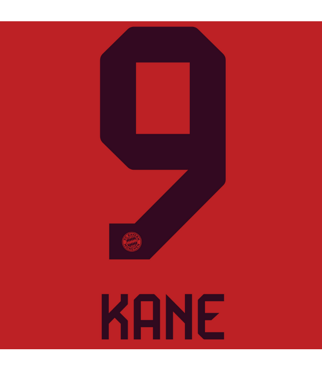 Uni-Sport Bundesliga 2024 Official Nameset ( Name and Number Set)