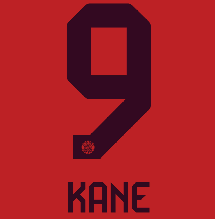 Bundesliga 2024 Official Nameset ( Name and Number Set)