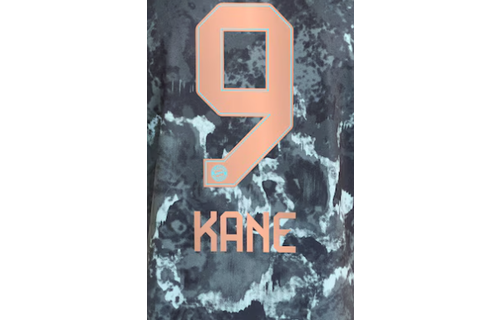 Bundesliga 2024 Official Nameset ( Name and Number Set)