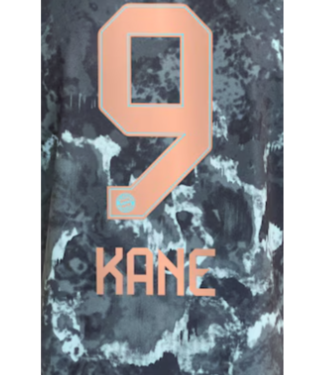 Uni-Sport Bundesliga 2024 Official Nameset ( Name and Number Set)