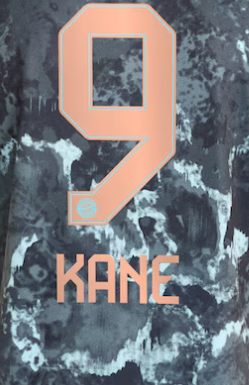 Bundesliga 2024 Official Nameset ( Name and Number Set)