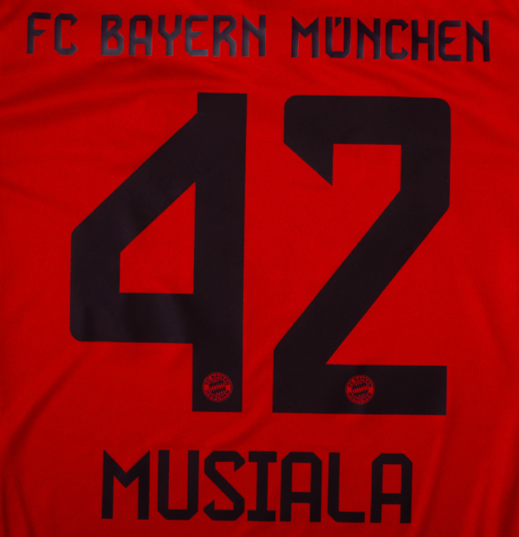 Bundesliga 2024 Official Nameset ( Name and Number Set)