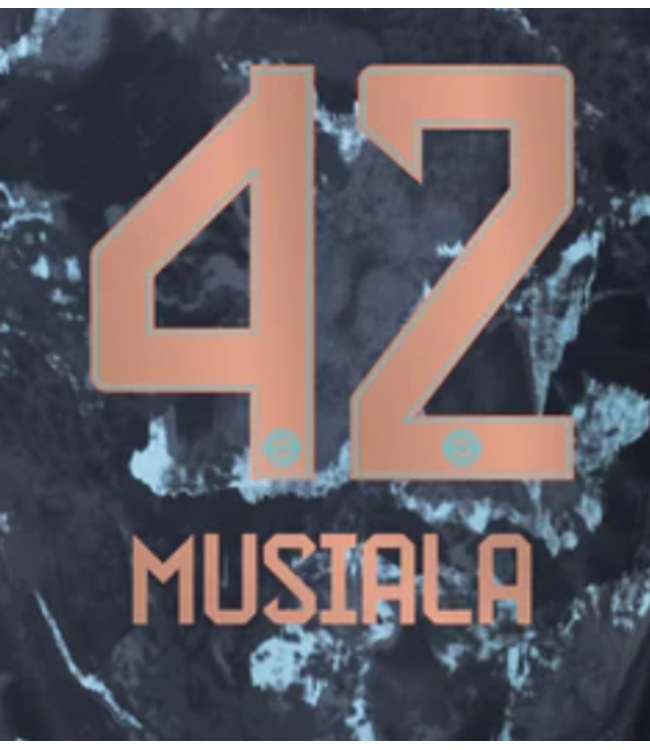 Uni-Sport Bundesliga 2024 Official Nameset ( Name and Number Set)