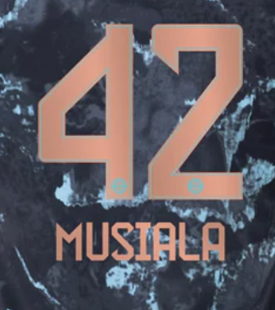 Bundesliga 2024 Official Nameset ( Name and Number Set)