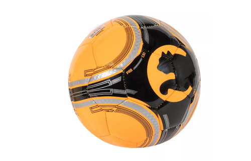 Puma ProPass 2.0 ProCat Mini Soccer Ball - Orange