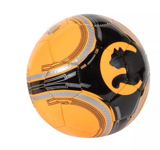 Puma ProPass 2.0 ProCat Mini Soccer Ball - Orange