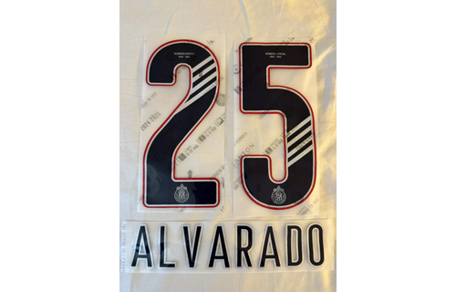 Liga MX 2025 Official Nameset ( Name and Number Set)